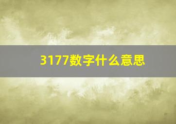 3177数字什么意思