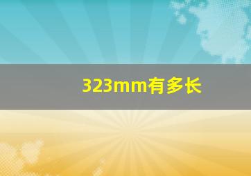 323mm有多长