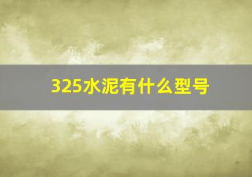 325水泥有什么型号