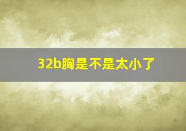 32b胸是不是太小了