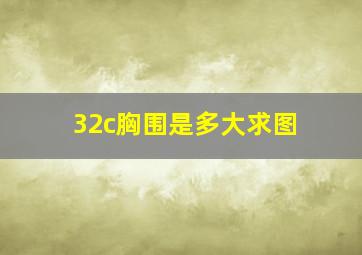 32c胸围是多大求图