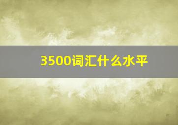 3500词汇什么水平