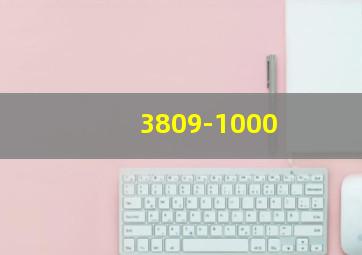 3809-1000