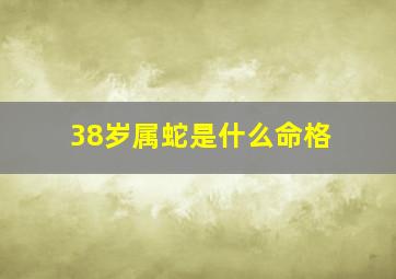 38岁属蛇是什么命格