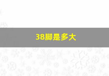 38脚是多大