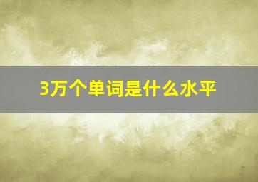 3万个单词是什么水平