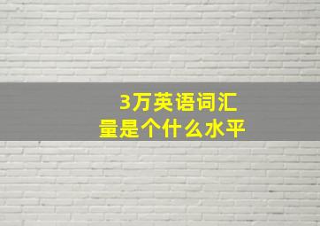 3万英语词汇量是个什么水平