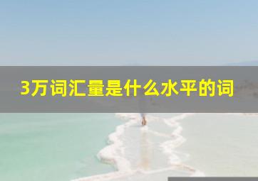 3万词汇量是什么水平的词