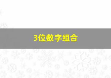 3位数字组合