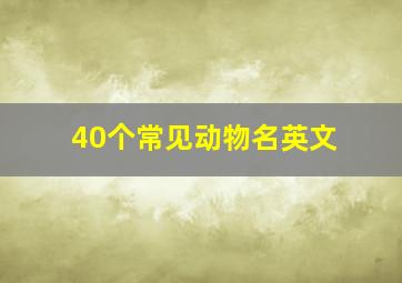 40个常见动物名英文