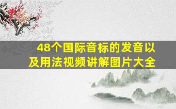 48个国际音标的发音以及用法视频讲解图片大全