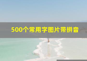 500个常用字图片带拼音