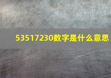 53517230数字是什么意思