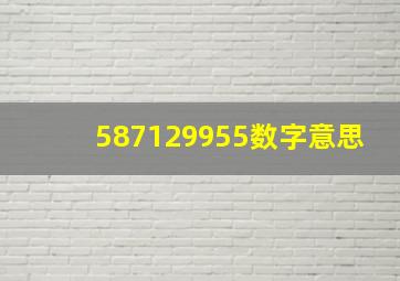 587129955数字意思