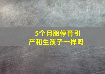 5个月胎停育引产和生孩子一样吗