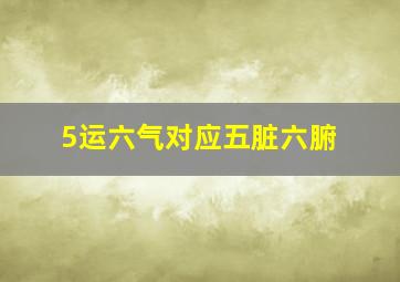 5运六气对应五脏六腑