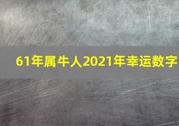 61年属牛人2021年幸运数字