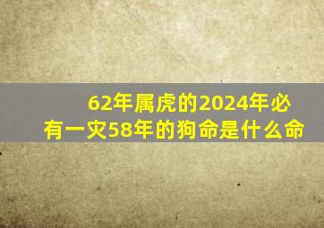 62年属虎的2024年必有一灾58年的狗命是什么命