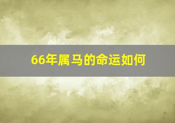 66年属马的命运如何