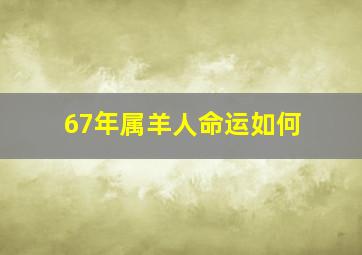 67年属羊人命运如何