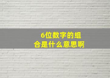 6位数字的组合是什么意思啊