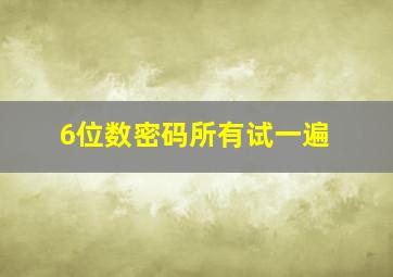 6位数密码所有试一遍