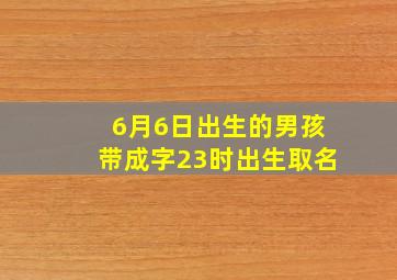 6月6日出生的男孩带成字23时出生取名