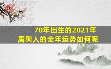 70年出生的2021年属狗人的全年运势如何呢