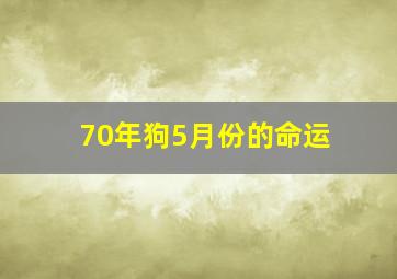 70年狗5月份的命运