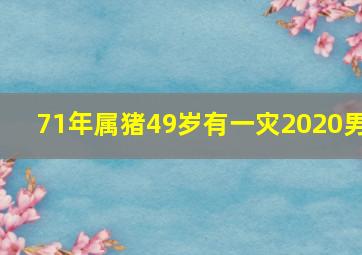 71年属猪49岁有一灾2020男