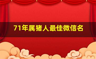 71年属猪人最佳微信名