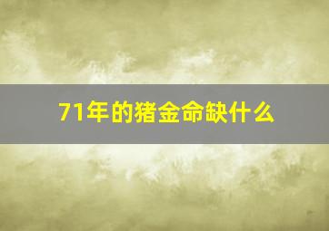 71年的猪金命缺什么