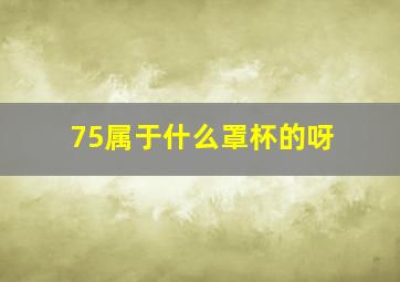 75属于什么罩杯的呀