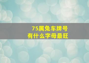 75属兔车牌号有什么字母最旺