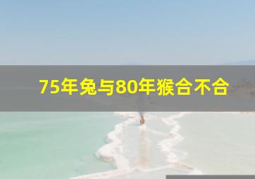 75年兔与80年猴合不合