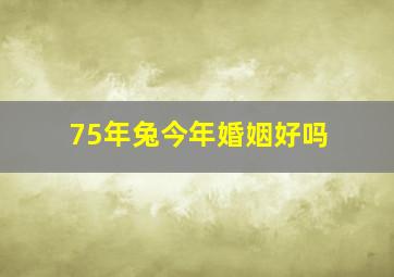 75年兔今年婚姻好吗