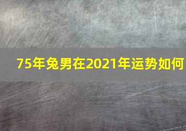 75年兔男在2021年运势如何