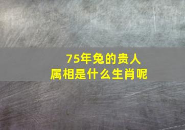 75年兔的贵人属相是什么生肖呢