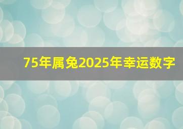 75年属兔2025年幸运数字