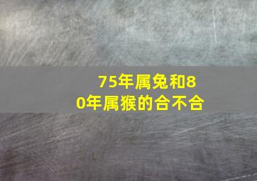 75年属兔和80年属猴的合不合