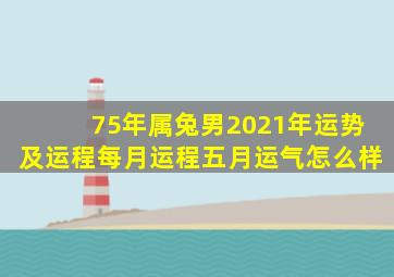 75年属兔男2021年运势及运程每月运程五月运气怎么样