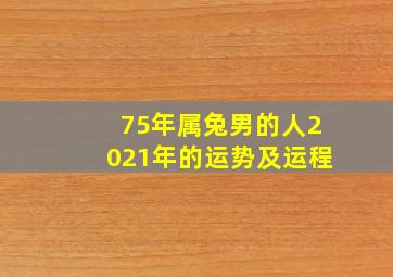 75年属兔男的人2021年的运势及运程