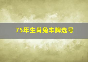 75年生肖兔车牌选号