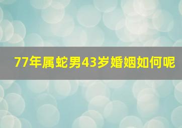 77年属蛇男43岁婚姻如何呢