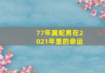 77年属蛇男在2021年里的命运