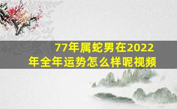 77年属蛇男在2022年全年运势怎么样呢视频