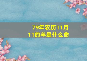 79年农历11月11的羊是什么命