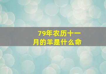 79年农历十一月的羊是什么命