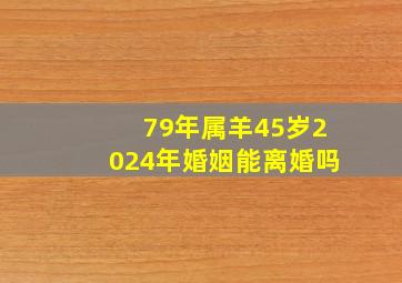 79年属羊45岁2024年婚姻能离婚吗