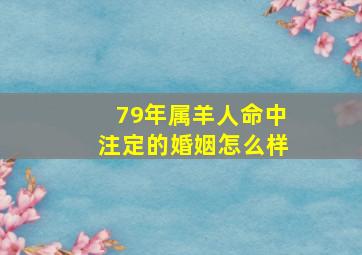 79年属羊人命中注定的婚姻怎么样